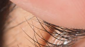 shutterstock_718450033