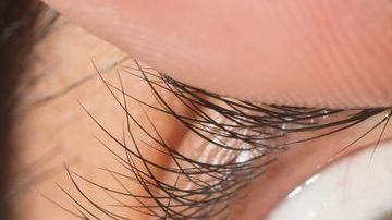 shutterstock_718450033