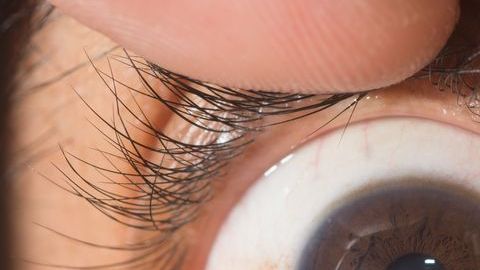 shutterstock_718450033