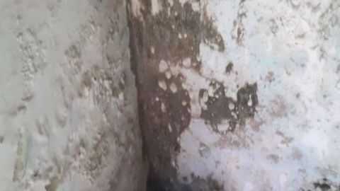 Sicarios matan a hombre dentro de cementerio y lo dejan dentro de una tumba