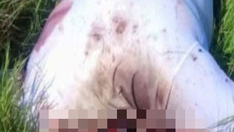 Sicarios torturan, degollan y además desfiguran con ácido a mujer