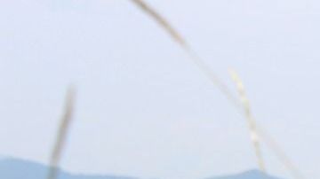 El concesionario era el único distribuidor de Subaru en la isla de Malta durante los 90s