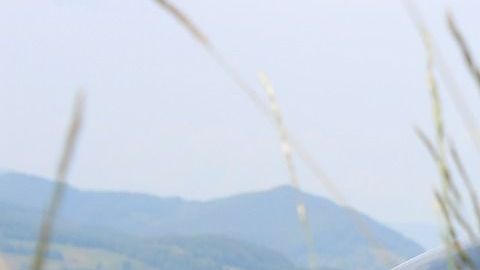 El concesionario era el único distribuidor de Subaru en la isla de Malta durante los 90s