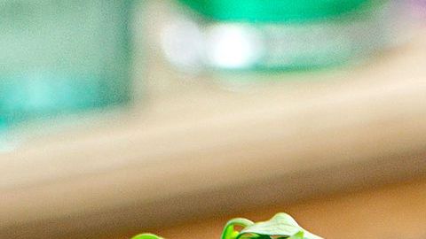 La combinación de las propiedades del atún fresco y el aguacate lo vuelven un plato ideal para bajar de peso rápidamente, es una excelente opción de almuerzo o cena. Es un platillo indicado para personas que padecen hipertensión arterial, diabetes y sobrepeso.