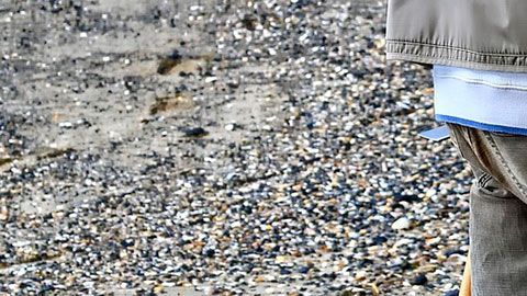 El hombre dividirá la fortuna con el dueño del terreno donde encontró el tesoro.