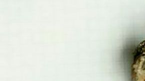 Una restauración los hizo descubrir un pequeño tesoro histórico.