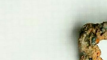 Una restauración los hizo descubrir un pequeño tesoro histórico.