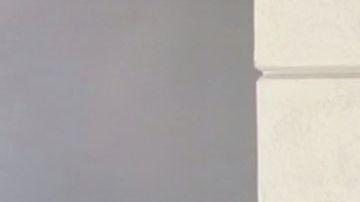 "Tuca" salió del hospital con una férula en la mano.