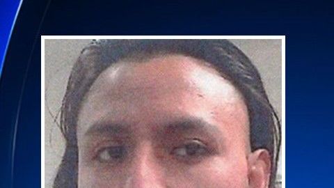 Trejo Dominguez y Rodriguez Quiroz