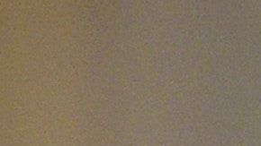 Getty Images for NYFW: The Shows