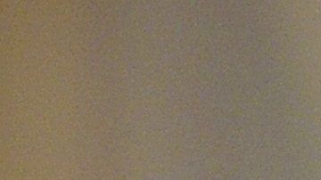 Getty Images for NYFW: The Shows