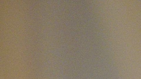 Getty Images for NYFW: The Shows