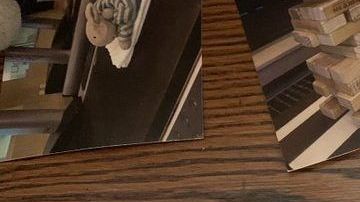 El peluche se dio la gran vida mientras esperaba a su dueño.