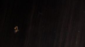 Conoce más de la inmensidad de la cocina mexicana con estos maravillosos platillos patrios.