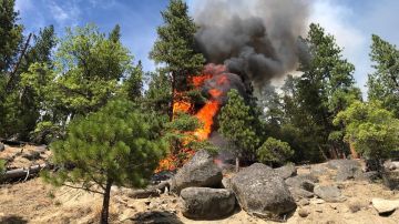 El Incendio Walker se localiza cerca de Wheeler Peak en el Parque Nacional Plumas.