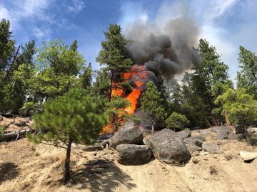 El Incendio Walker se localiza cerca de Wheeler Peak en el Parque Nacional Plumas.