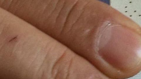 Unas 55,000 personas podrán aplicar para el programa de Visas de Diversidad.