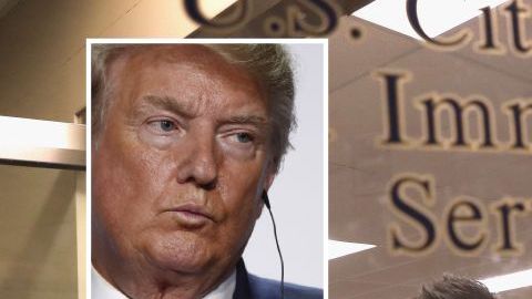 Distintas organizaciones han denunciado retrasos de USCIS en solicitudes de ciudadanía.