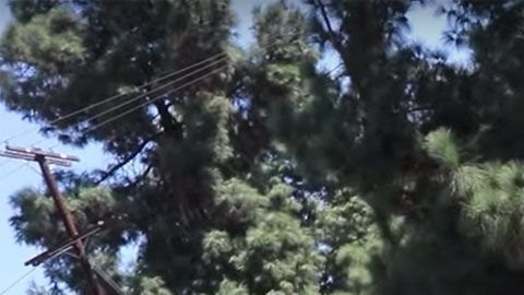 En un solo día, este indigente tuvo varias grandes sorpresas.