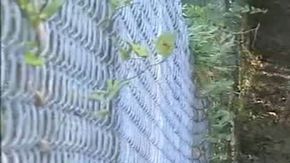 Vecinos se han unido al rastreo