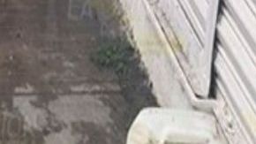 VIDEO: Grupo Sombra, socios de El Marro, interrogan y decapitan a uno del Cártel del Golfo