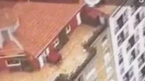 Las cámaras descubrieron el plantío en una de las principales avenidas de Barcelona.