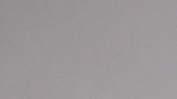 Zion Williamson es el nombre de moda en la NBA.