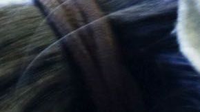 Extienden hasta el jueves la fecha límite para que los estudiantes de las Escuelas Públicas presenten las pruebas  de covid-19.