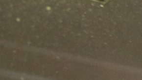 Negocios que reciben los cupones de alimentos en Nueva York.