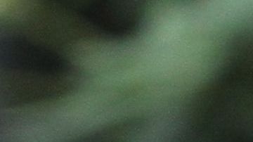 Ola de calor en la ciudad de Nueva York.