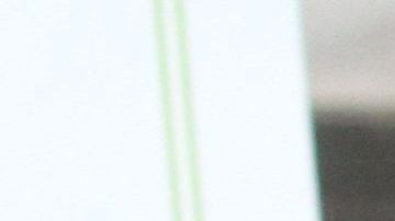 Foto de archivo. El problema y el miedo de los inmigrantes sobre la medida 'carga pública' es a nivel nacional que organizaciones de diferentes estados han protestado y algunos hasta demandado al mismo gobierno.