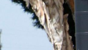 Huntington Park está en la posición 10 de la lista.