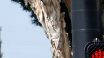 Huntington Park está en la posición 10 de la lista.