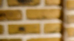 La pasta es un alimento que no contiene grasas y aporta energía de calidad al organismo. Es versátil, deliciosa y aporta un considerable contenido en fibra.