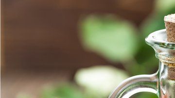 El consumo de manzanas fermentadas es el aliado perfecto para el buen funcionamiento hepático y renal. También es de lo mejor para el sistema digestivo y la salud de la flora intestinal.