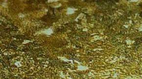 Un símbolo gráfico les indica a los usuarios que presionen la pantalla con su huella.