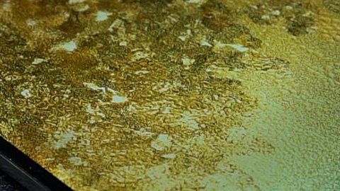 Un símbolo gráfico les indica a los usuarios que presionen la pantalla con su huella.