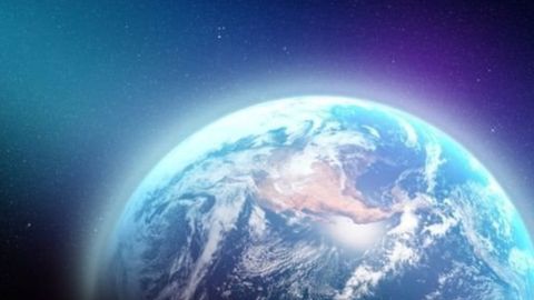 Las abejas son el ser vivo más importante del planeta por varias razones.