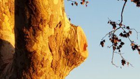 En Uruguay hay problemas que van más allá de la nostalgia.