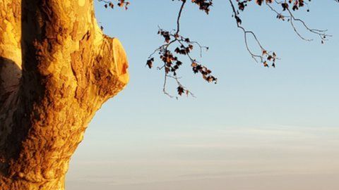 En Uruguay hay problemas que van más allá de la nostalgia.