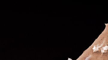 Los científicos están tratando de crear dicha enfermedad en un laboratorio.