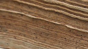 Aquí queremos empezar una farmacopea de drogas ficticias... y, si quieres, tú la continúas.