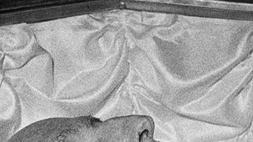 109346309_gettyimages-3064556