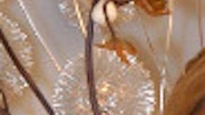 Rocío Sánchez Azuara y Christian Bach.