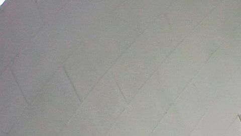 Bucklew mató al novio de su exnovia y a ella la secuestró y violó.