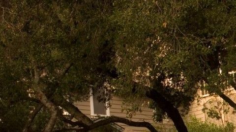 La Ford Flex cumplió 10 años este 2019