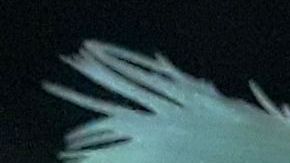 Desfile en la 6ta Avenida de Manhattan