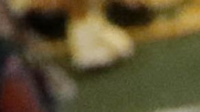 Cuando la mujer salió del hospital, el agente fronterizo se la llevó detenida.