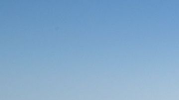 Trabajadores se preparan a trasplantar un gigantesco saguaro en la frontera sur.