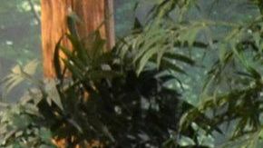 Pedrito Sola junto a Pati Chapoy.